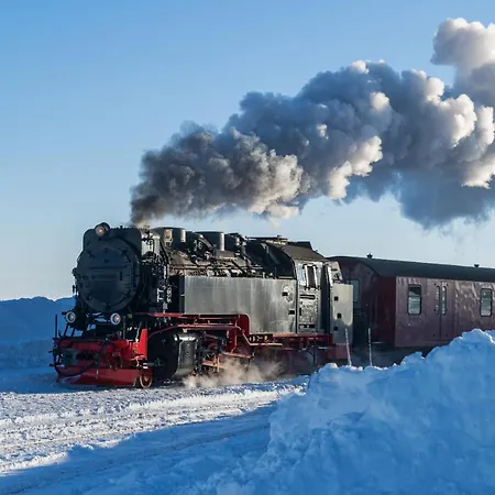 Gaestehaus Nietmann_ 6 * Altenau (Lower-Saxony)